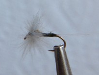 CDC Biot Spinner Blue Winged Olive -Size 14